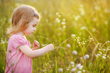 Wall Mural - Adorable preschooler girl in a meadow at summer or autumn