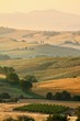 © pitrs - Italian countryside in Tuscany