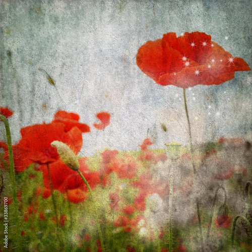 Naklejka ścienna grunge poppies background