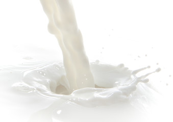 Canvas Print - milk splash