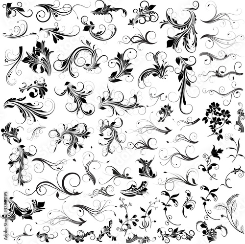 Fotografía Flourish Vector Design Elements Collection