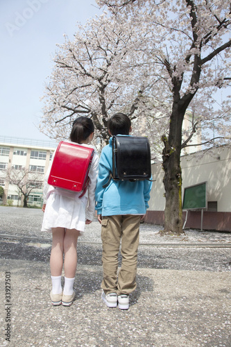 桜の下に立つ小学生男女の後ろ姿 Stock Photo Adobe Stock