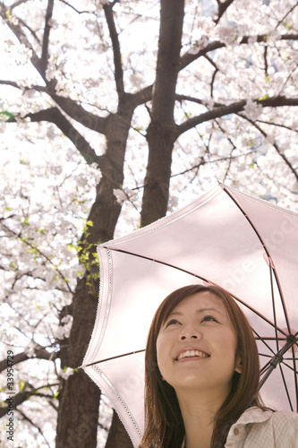 桜を見上げる女性 Buy This Stock Photo And Explore Similar Images At Adobe Stock Adobe Stock