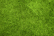 Gras, Grüner Rasen