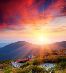 Summer landscape in mountains with the sun