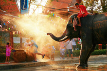 Elephant Spraying Water On People During Songkran Festival, Bangkok
