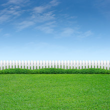 White Fence And Green Grass