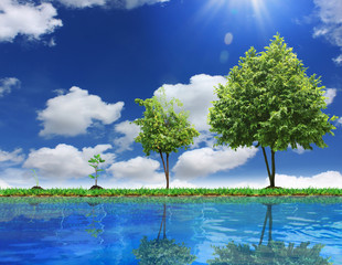 Wall Mural - tree and blue sky