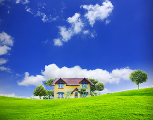 Wall Mural - field grass and perfect sky
