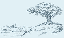 The Mighty Oak Tree Grows On Top Of A Hill