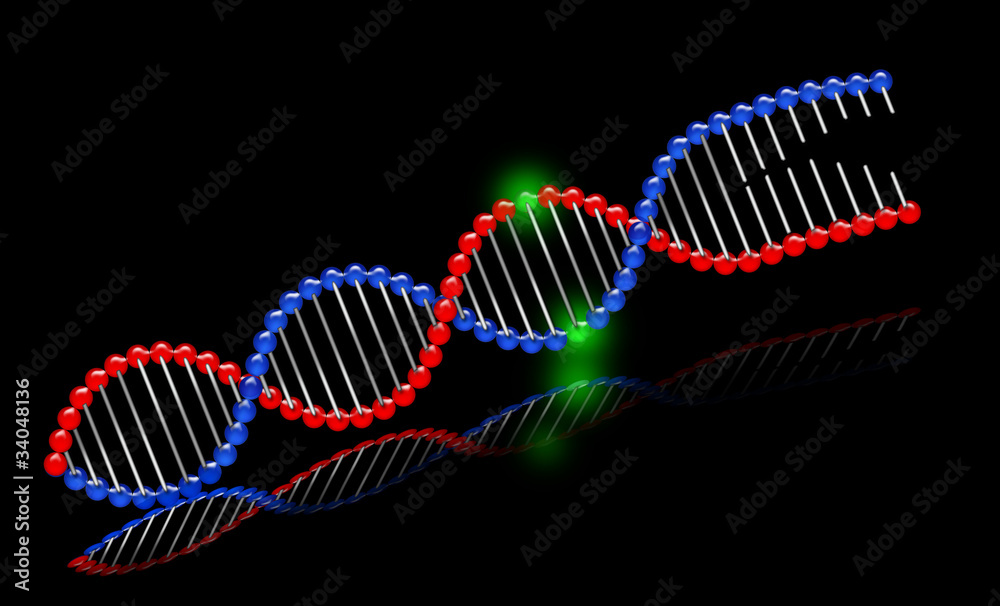 DNA_color2 - obrazy, fototapety, plakaty 