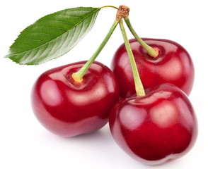 Three perfect sweet cherries with the leaf.