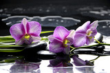 Fototapeta Kwiaty - Pink orchid with bamboo leaf and stones with reflection