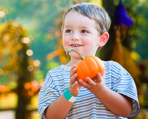 happy young boy picking a pumpkin for halloween