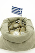 geldbeutel mit Griechenlandflagge