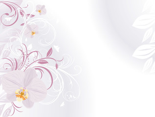 Wall Mural - Orchids with decorative sprigs. Background for card
