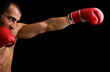 © cristovao31 - Young Boxer fighter over black background