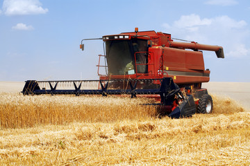 harvester in the field of gold wheat against the blue sky