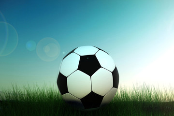 Wall Mural - soccer ball in grass