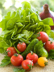 Wall Mural - fresh vegetables