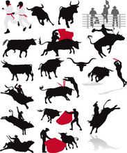 Bulls, Rodeo And Corrida Elements