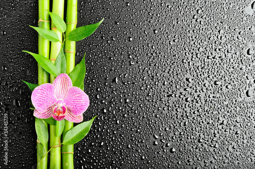 Naklejka Bambus z kwiatkiem 