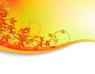Wall Mural - Autumn background