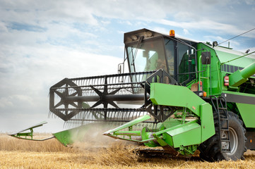 Wall Mural - combine harvester