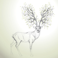 deer with antler like tree / realistic sketch