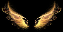 Demon Angel Fire Hell Wings