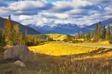 Wall Mural - Charming glade with a yellow autumn grass and road