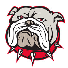 Mongrel Bulldog Dog Mascot Head