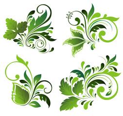 Wall Mural - Floral element set