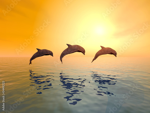 Obraz w ramie Jumping Dolphins