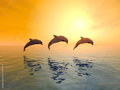 Fototapeta do kuchni Jumping Dolphins