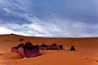 Bedouin tents in the Sahara Desert