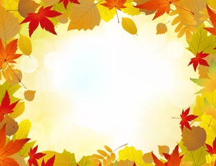 Wall Mural - Autumn background