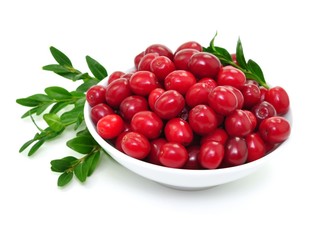 Poster - Früchte, Cranberries