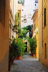 Wall Mural - Courtyard