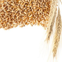 Wall Mural - Wheat ears with seeds