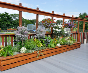 Wall Mural - Rooftop garden in urban setting