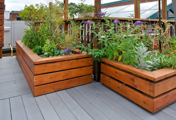 Wall Mural - Rooftop garden on urban building