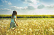Little girl in dandelion field