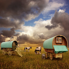 Wall Mural - Old Gypsy Caravans, Trailers, Wagons with Horses