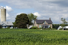 American Farm House Organic With Corn Field