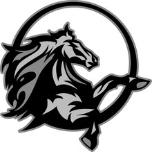 Mustang Stallion Graphic Mascot Image