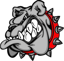 Bulldog Mascot Cartoon Face Illustration