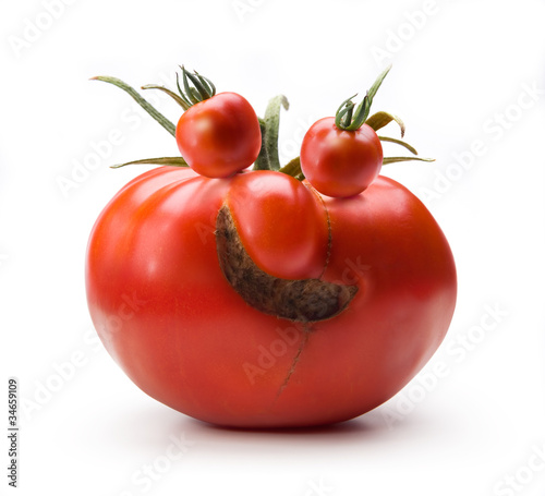 Fototapeta na wymiar Art cheerful Mr. Tomato