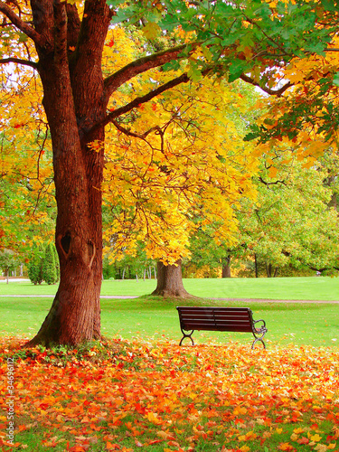 piekny-jesienny-widok-na-park-publiczny-w-helsinkach-drewniane-lawki-i-zlociste-liscie