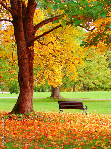 Naklejka na szybę Autumn in Helsinki Public Garden